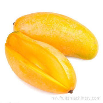 Манго нухаш боловсруулалтын шугамын Mango шүүс хийх машин